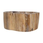 Kiena Carved Petrified Wood Organic Bowl - Image 4