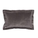 Sterling Velvet Pillow - Image 3