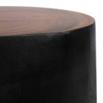 Kaia Munggur Wood Tree Stump Coffee Table - Image 4