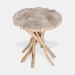Merrill Organic Teak Branch Accent Side Table - Image 3