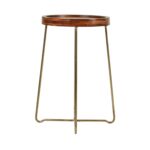 Aria Solid Mango Wood Tray Top Side Table with Brass Legs
