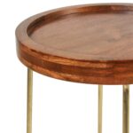 Aria Solid Mango Wood Tray Top Side Table with Brass Legs - Image 4