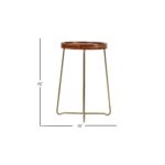 Aria Solid Mango Wood Tray Top Side Table with Brass Legs - Image 6