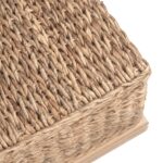 Delilah Handwoven Abaca and Mahogany Storage Coffee Table - Image 6